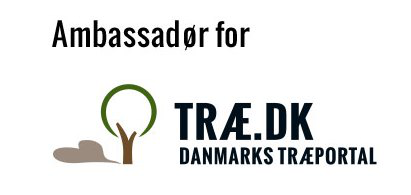 ambassadoer-for-trae-dk_
